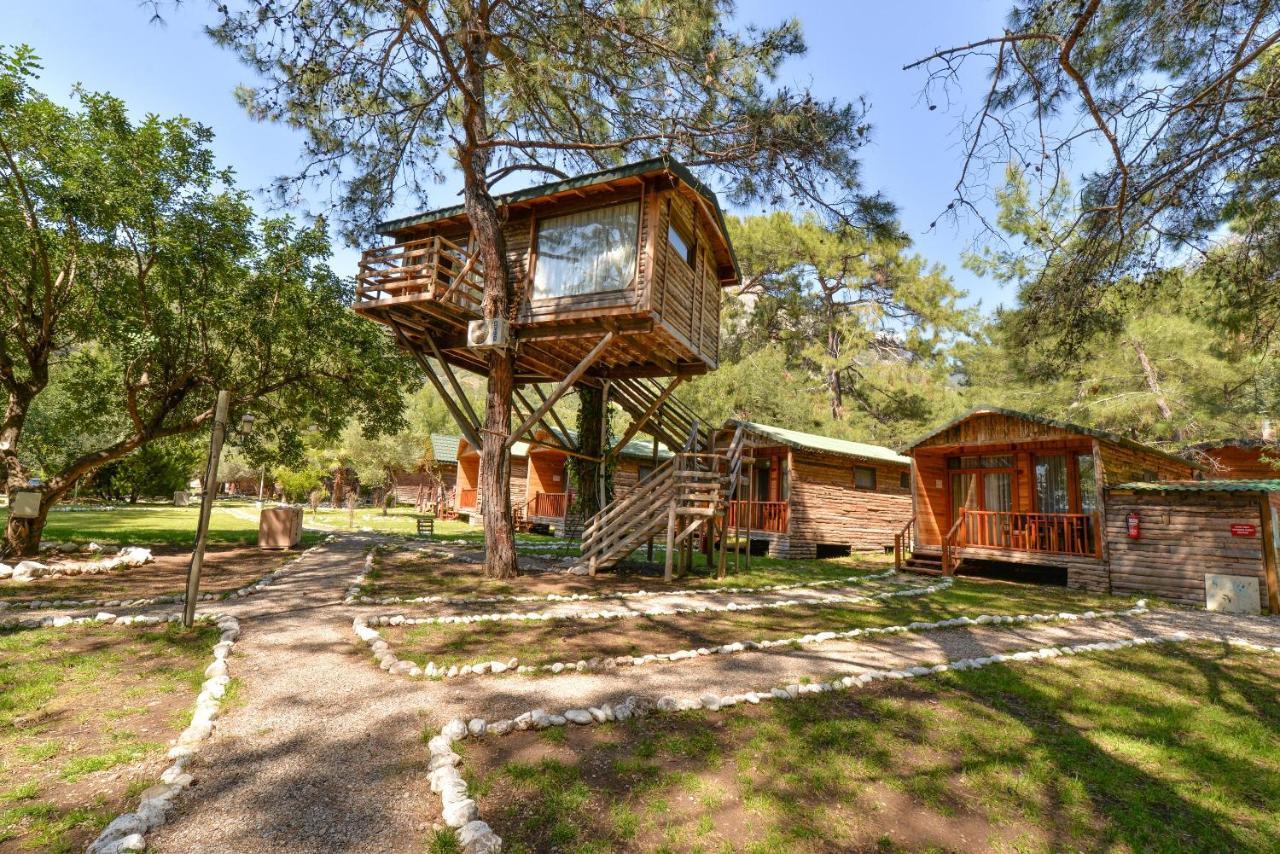Sea Valley Lodge Faralya Εξωτερικό φωτογραφία